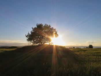 Scenic view of field against sky during sunset