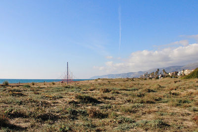 Scenic view of field against sky