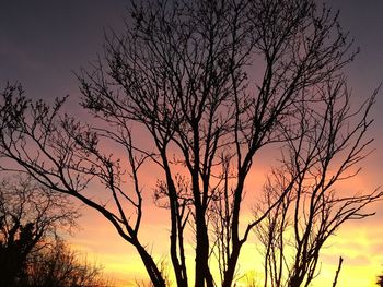 Low angle view of silhouette bare tree against sky during sunset