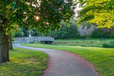 View of park