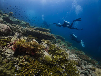 High angle view of person swimming in sea