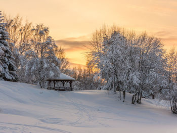 Snow covered land and trees against sky during sunset