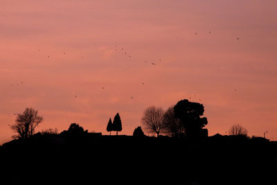 Silhouette birds against sky during sunset