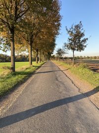 Road amidst trees on landscape