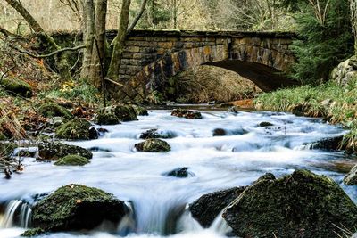 View of waterfall in forest