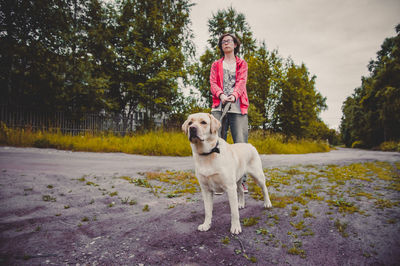 Portrait of a dog