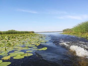 Scenic view of lake against sky