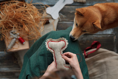 Midsection of woman making diy dog  toy from textile and eco filler 