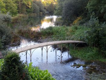 View of canal passing through trees