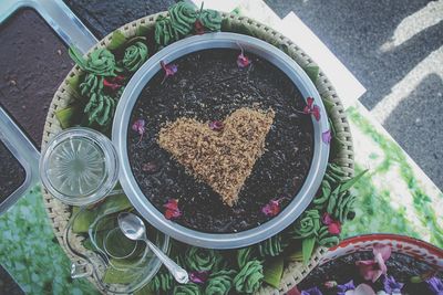 High angle view of potted plant in bowl