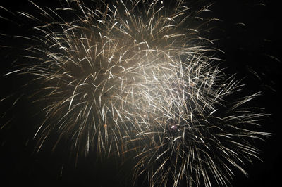 Low angle view of firework display at night