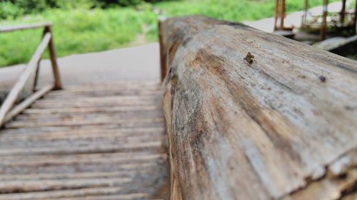 Close-up of wooden surface