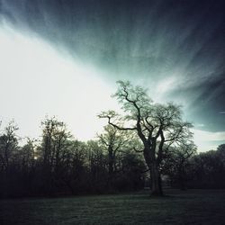 Scenic view of field against cloudy sky