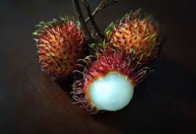 High angle view of fruits