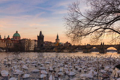 View of river and buildings against sky during sunset