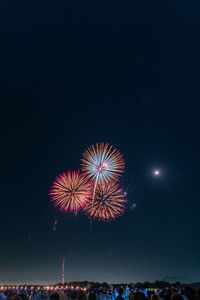 Low angle view of firework display at night