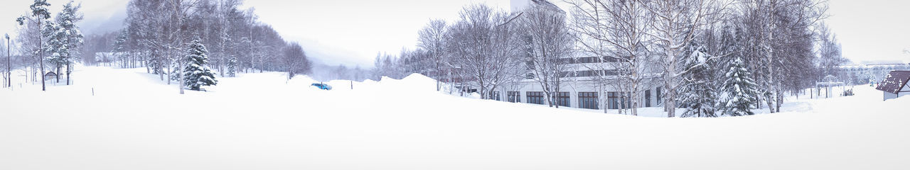 Snow covered land and trees against sky