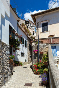 Alley amidst buildings in town