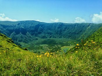 Scenic view of grassy field against sky