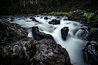 Scenic view of waterfall in forest