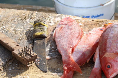 Close-up of fresh fish