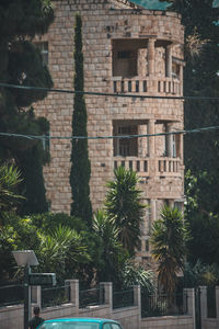 Low angle view of palm trees and building