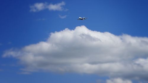 Low angle view of airplane flying in sky