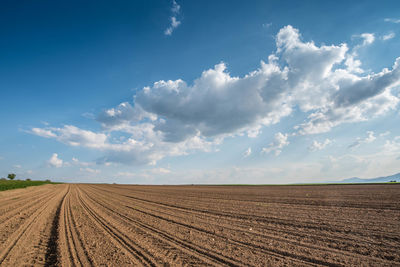 Scenic view of plough field against sky