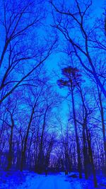 Trees by sea against blue sky