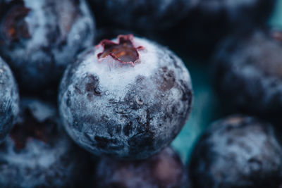 Close-up of fruits