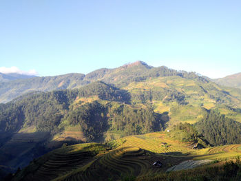 Scenic view of field against clear blue sky