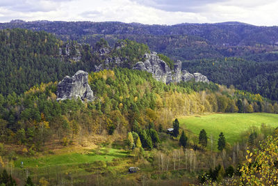 Scenic view of trees on landscape against sky