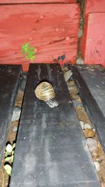 Overhead view of pot on wooden surface