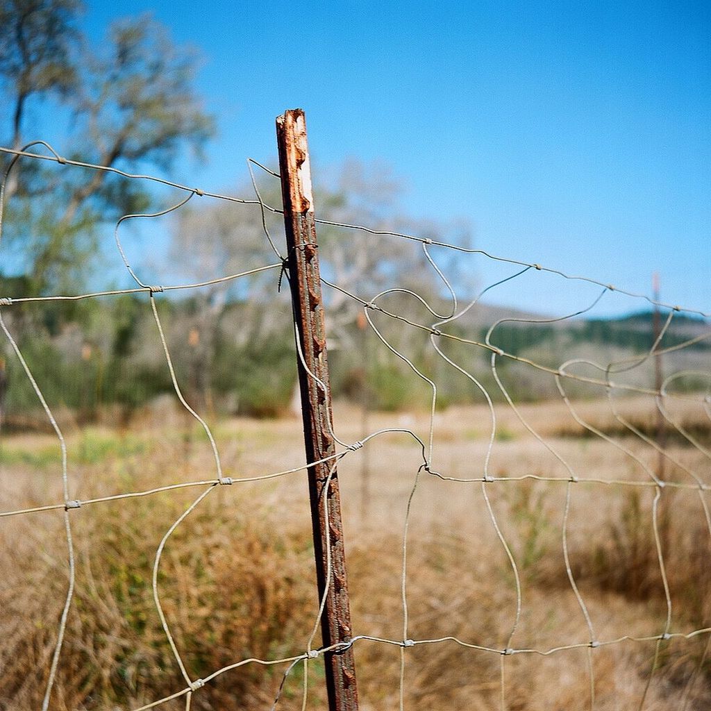 fence, protection, barbed wire, focus on foreground, safety, security, metal, close-up, chainlink fence, field, day, nature, metallic, selective focus, no people, sky, outdoors, pattern, clear sky, wood - material