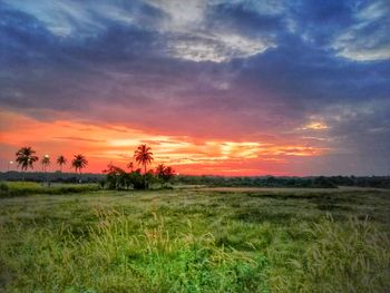 Scenic view of field against sky during sunset