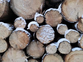 Full frame shot of logs in forest