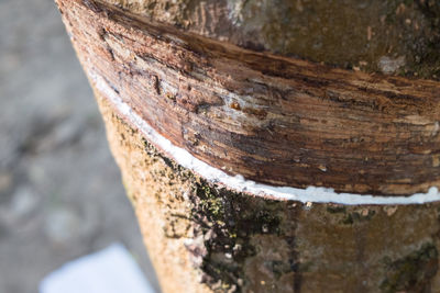 Close-up of weathered wood