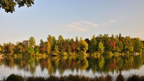 Scenic view of lake by trees against sky