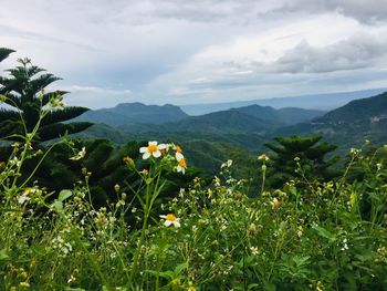 Scenic view of mountains against sky