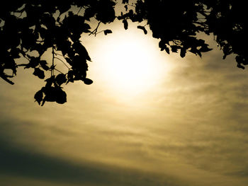 Low angle view of silhouette tree against sky during sunset