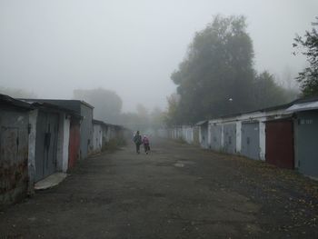 Man walking on road amidst trees against sky