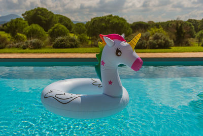 Inflatable ring on swimming pool