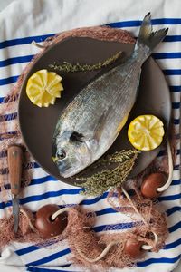 High angle view of fish on table