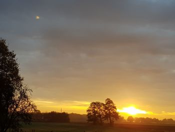 Silhouette trees on field against sky at sunset