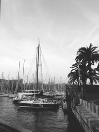 Boats in harbor