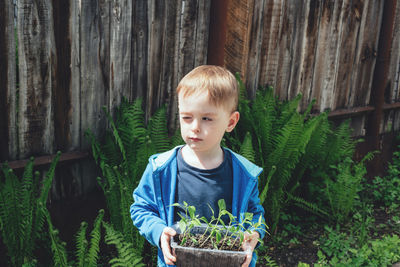 Child holding a container with pots of bell pepper seedlings. the boy covered one eye from the sun. 