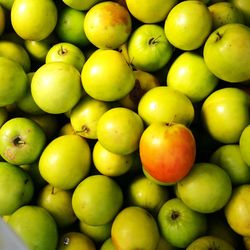 Full frame shot of apples