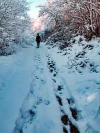 Person standing on snow covered land