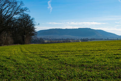 Scenic view of field against sky