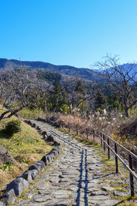 Scenic view of landscape against clear blue sky